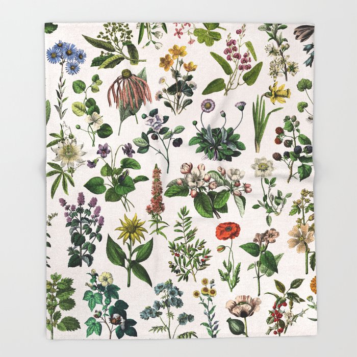 Vintage Botanical prints DoveTA exclusive designer furnishing fabrics